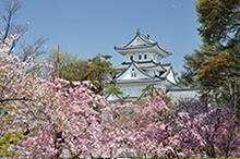 大垣城(大垣公園)