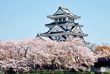 一夜城址公園、犀川堤