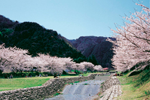 羽根谷だんだん公園