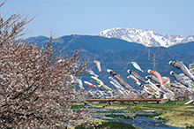 相川水辺公園