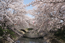 中須川