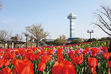 木曽三川公園センター
