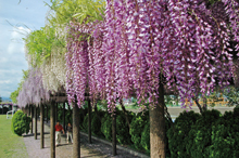 赤坂スポーツ公園