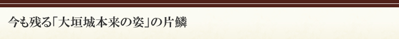 今も残る「大垣城本来の姿」の片鱗